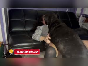 Dog Devours Allysa: Wild and Irresistible Fuck