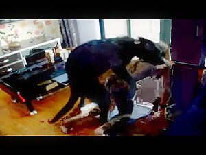 Bestiality-Video: Eine Frau und ihr Hund