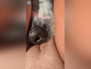 Orgies feroces: perro y mujer en el apogeo de la perversion