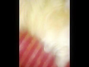 Intimate Moment with a Dog