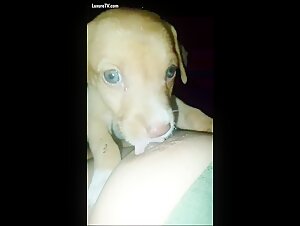 Intimacy with a loyal dog