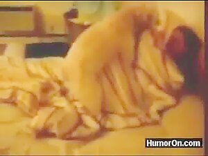 Chiens en action : une vidéo bestiale à ne pas manquer