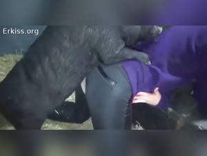 Orgia salvaje vietnamita: cerdo contra amante