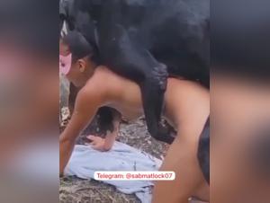 Bestiality: Wild and immodest delicacies