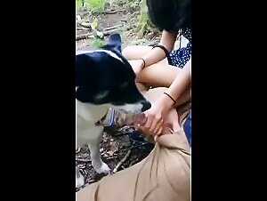 orgies fébriles : chien et femme dans la débauche