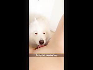 My Slut and Her Brother's Dog: A Shocking Zoophilia Encounter