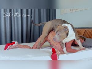 Wilde Tierlichkeit: Hundefick auf der Fliegerparty