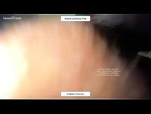 Zusammenstellung der besten Videos von Amateurfrauen, die Sex mit Hunden haben