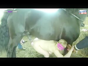 Mujer y caballo: un encuentro prohibido