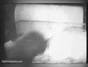 Der tierische Abgrund: Herrschaft und verbotenes Verlangen auf Kaledonisch