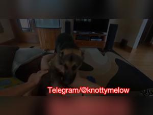 Dog Fucks Girl: Uninhibited and Ready to Cum