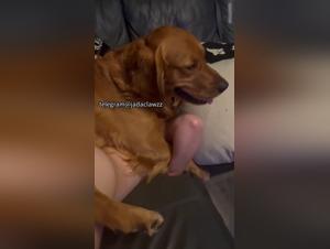 Desiderio Canino: Esperienza Sessuale Personalizzata e Selvaggia