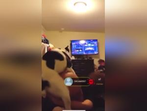Canine Domination: Dog Girl Exploited