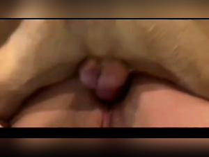 Jazminedogsex: Libertinaje Canino Infernal