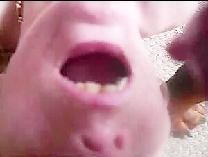 Cum Play with a Dog