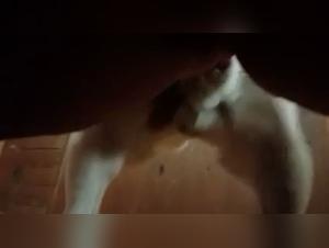 Fétiches Interdits :  Baise Animale Extrême