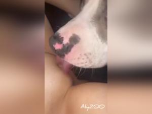délices animales: porno bestiale sans limites