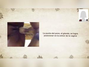 Zoophilie -Anatomie: Der sinnliche Arte del Cane e Donna