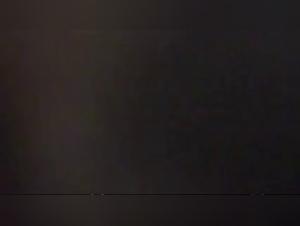 Dissolutezza degli animali: video XXX di zoofilia estrema