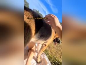 I took it all from the dog as he mounts me from behind in a zoo sex video — zoo scene