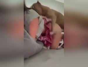 Canine Domination: A Wild Desire Reveals