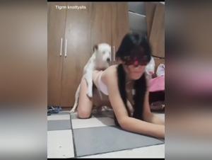 Canine Fantasy: Saucy Kisses and Home Zoophilia