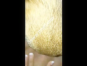 Zoosex : Une Expérience Extrême et Controversée