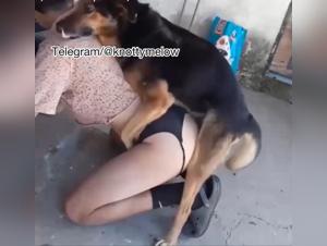 Wild Fuck: Dog Fucks Young Girl