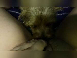 Shylark Double Fuck: Canine Obsession Unleashed