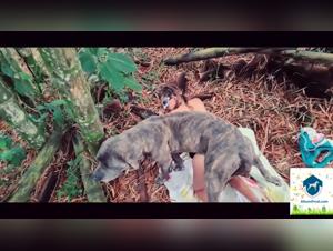 The best bestiality videos on the AlisonProd.com website