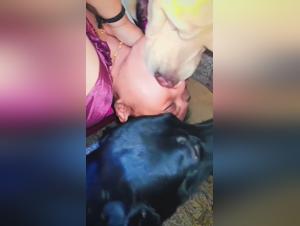 Delizie degli animali: video XXX in cui il potere e animale