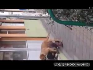 Orgia de animales: La guarra y el pony