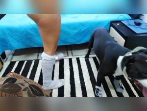 Orgie animali con AlissonProd e Pitbull