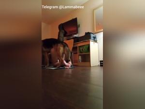 Doppelte Hundepenetration: Tatowierung und Ausschweifung