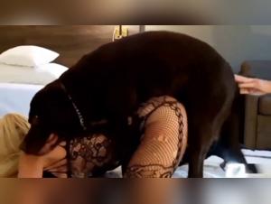 Feral Canine Frenzy: Uncontrollable Kisses and Animal Domination