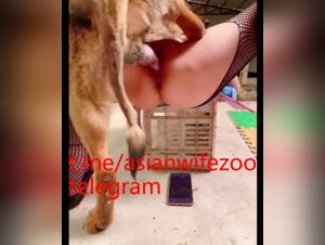 Fantasias bestiales del extremo este