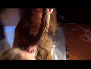 Frustato con i miei bestiegal del cane