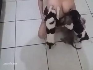 Wild Breastfeeding: The female dog and Her Puppies in an Erotic Encounter