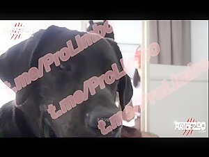Woman submissive to her dog in a beastly video
