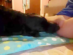 Woman and dog: an unexpected encounter