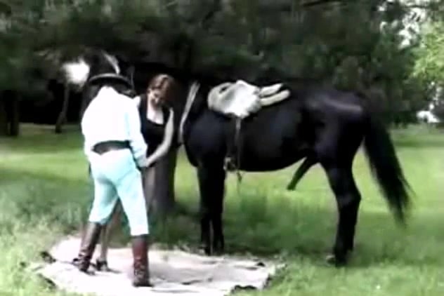 Cheval fougueux défonce salope aux seins XXL