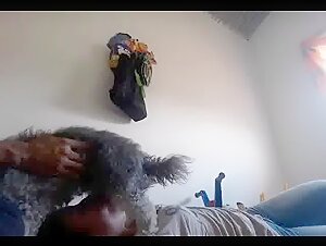 Intense canine blowjob