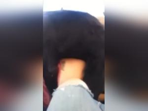 Fucking in Arizona with a dog