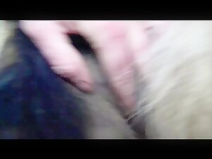 Femme infidèle laisse le chien la prendre sauvagement