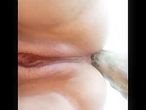 Femme Rondes et Chiens