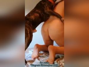 Le désir primal : Découvrez le sexe hardcore avec chien