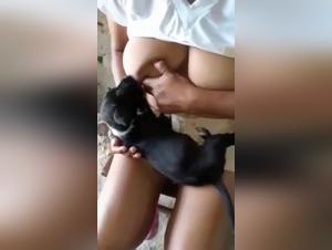 Big Breasts, Tiny Nipple: The XXL Canine Nanny