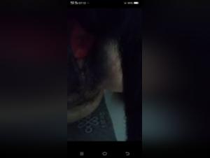 Animal Orgies: Forbidden Delights