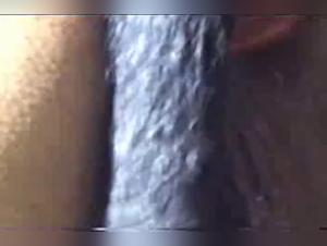 Intollerable Animal Delirium: Fuck with Dog, Intense and Raw