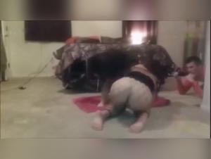 Steamy Amateur Threesome with a Dog